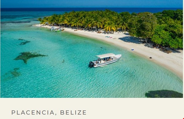 Noma Collective Belize 2026 image